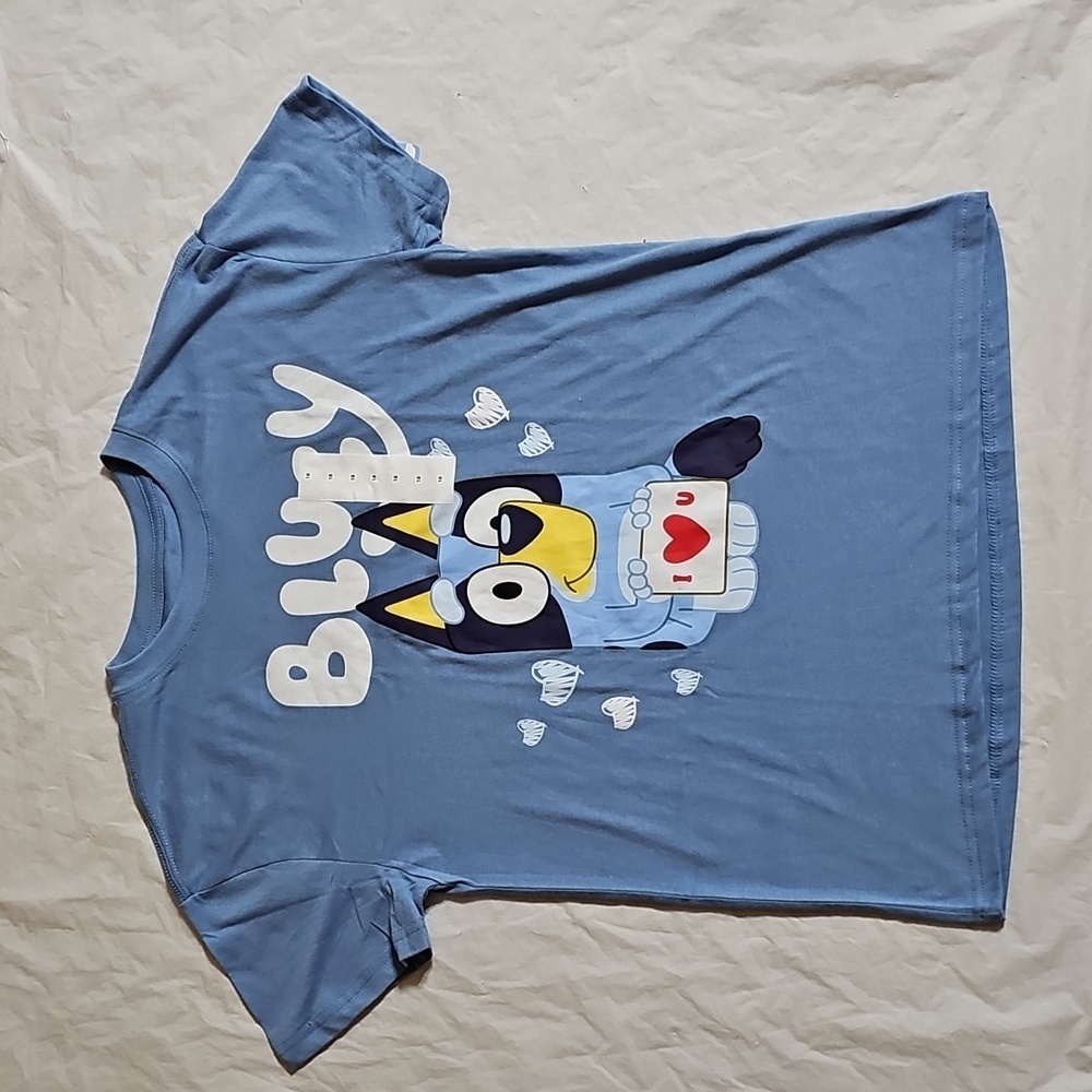 Bluey Kids Family Valentine's Day Short Sleeve T-Shirt, Kids Size 18 New